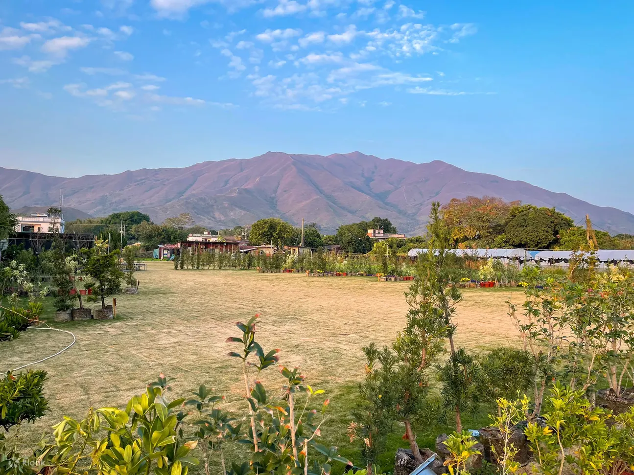 【Autocamper | Glamping 豪华露营体验】大江埔罗汉园 | 鸡公岭山脉全景 | 澳洲荒原式汽车营地